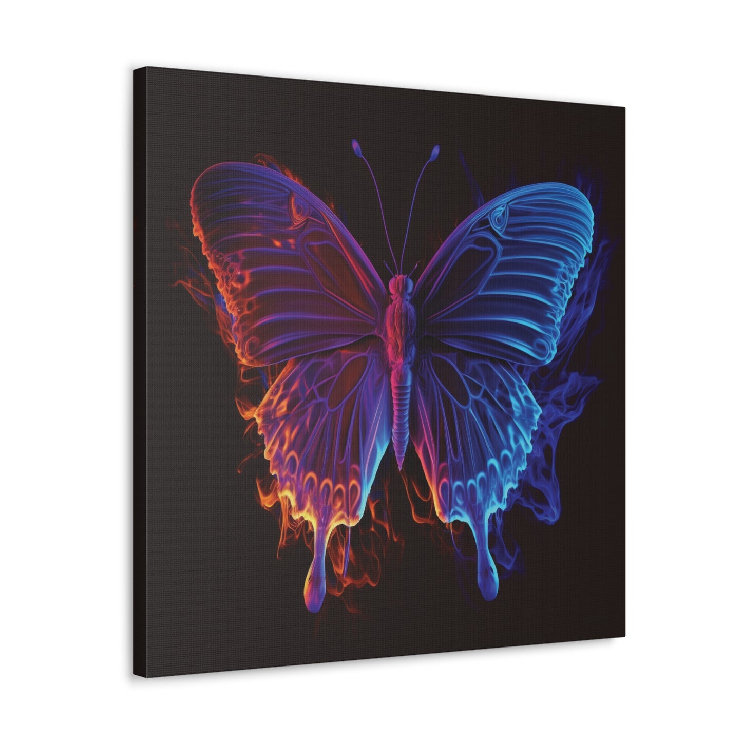 Canvas Gallery Wraps Thermal Butterfly 1