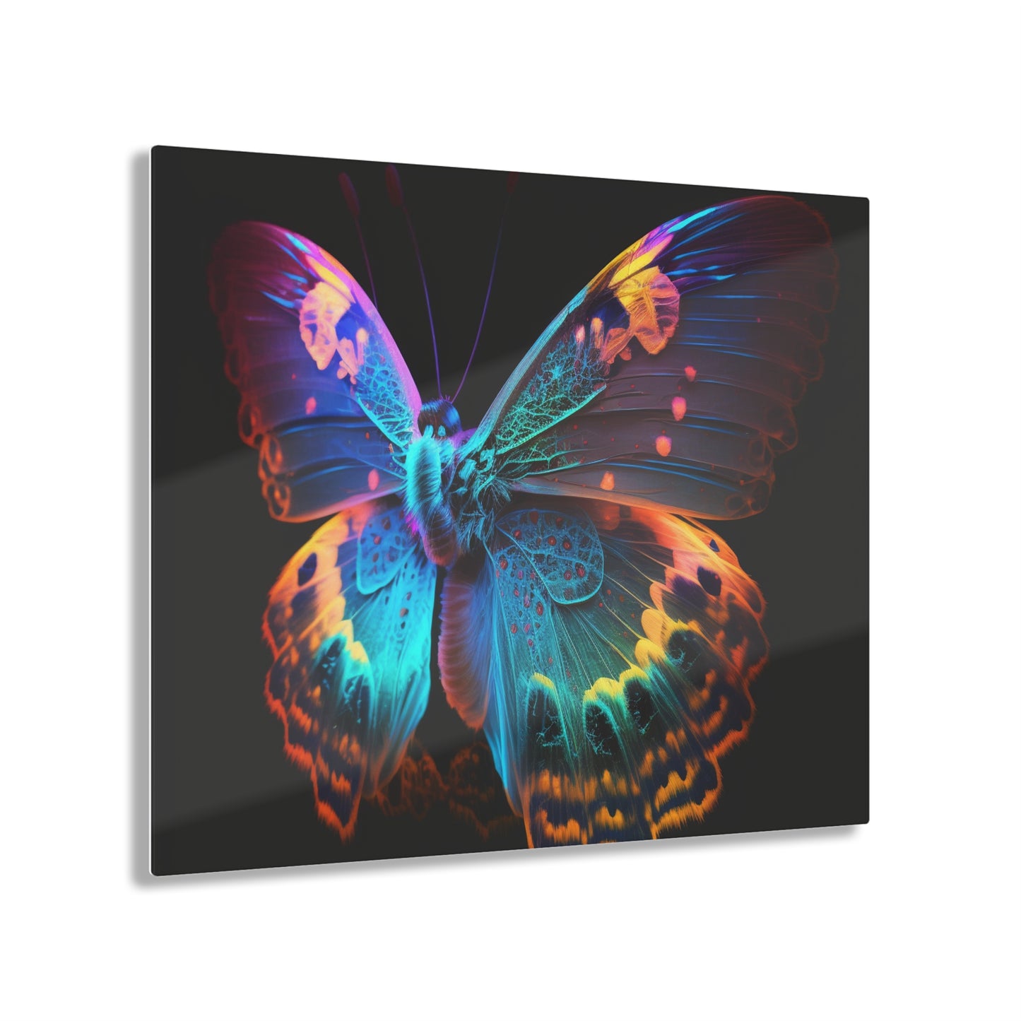 Acrylic Prints Raw Hyper Color Butterfly 4