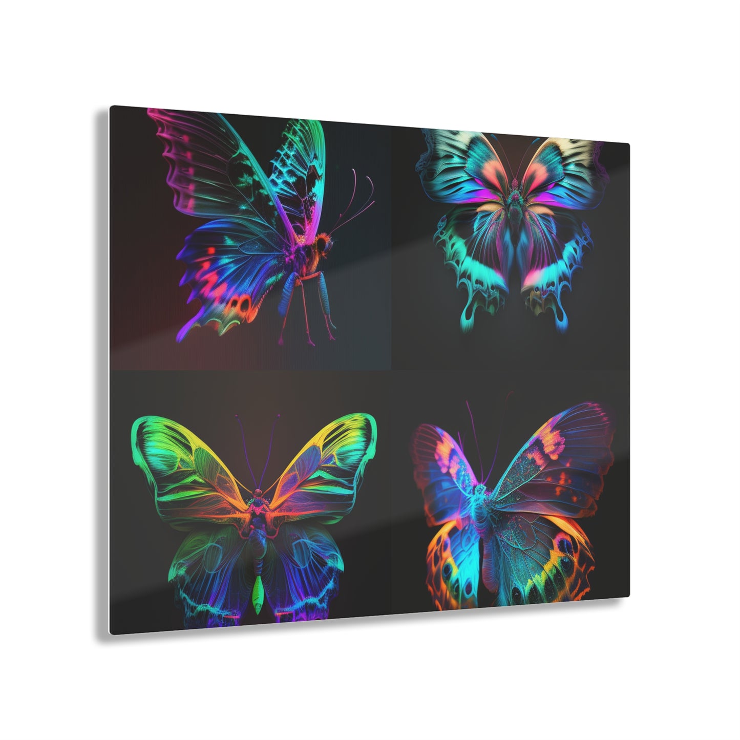 Acrylic Prints Raw Hyper Color Butterfly 5