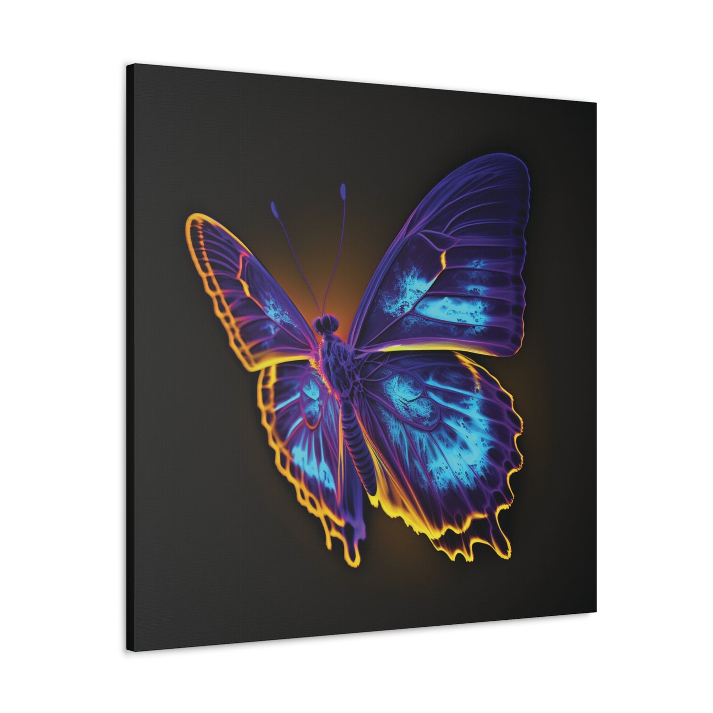 Canvas Gallery Wraps Thermal Butterfly 4