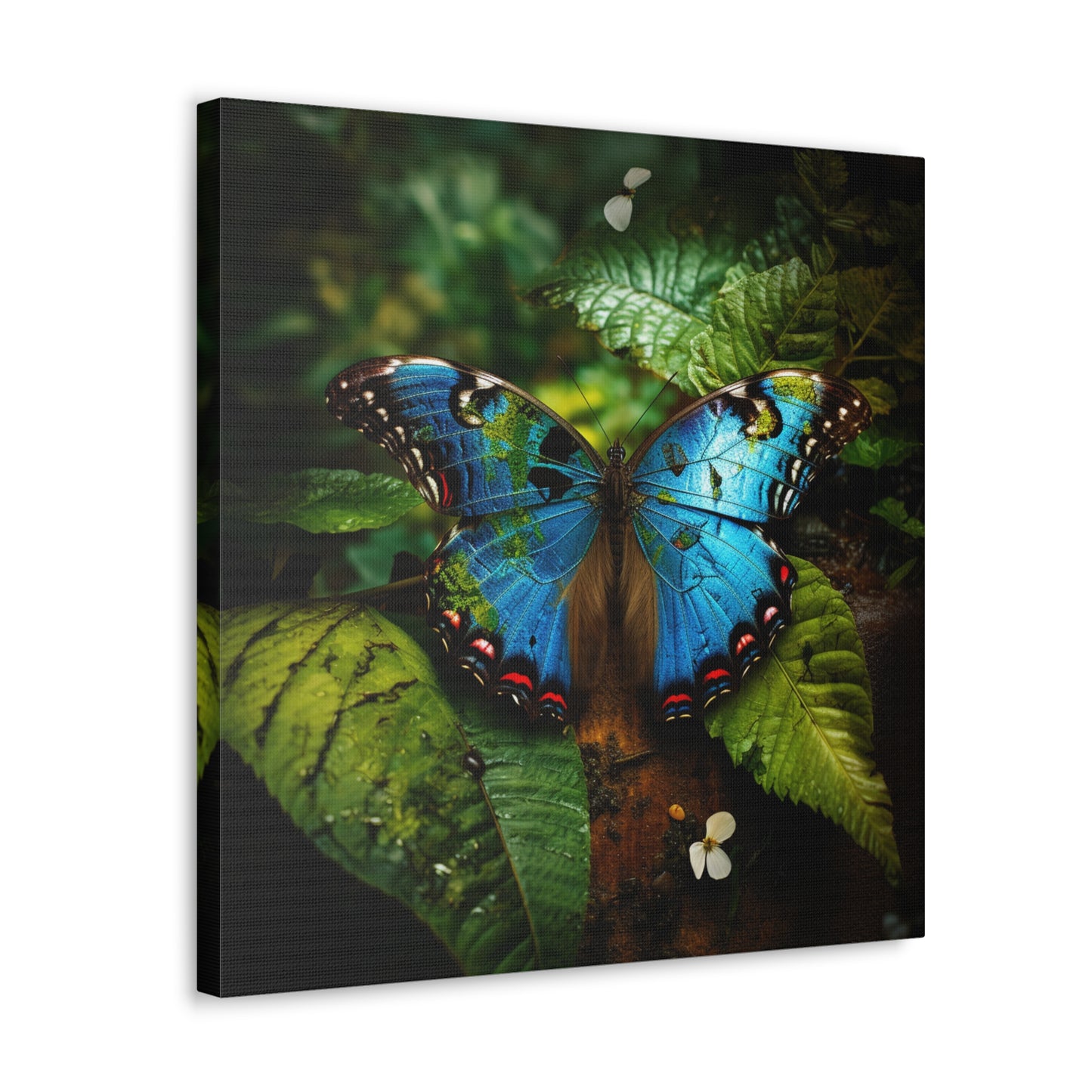 Canvas Gallery Wraps Jungle Butterfly 2