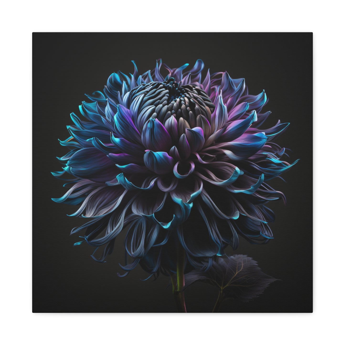 Canvas Gallery Wraps Dahlia Purple 3