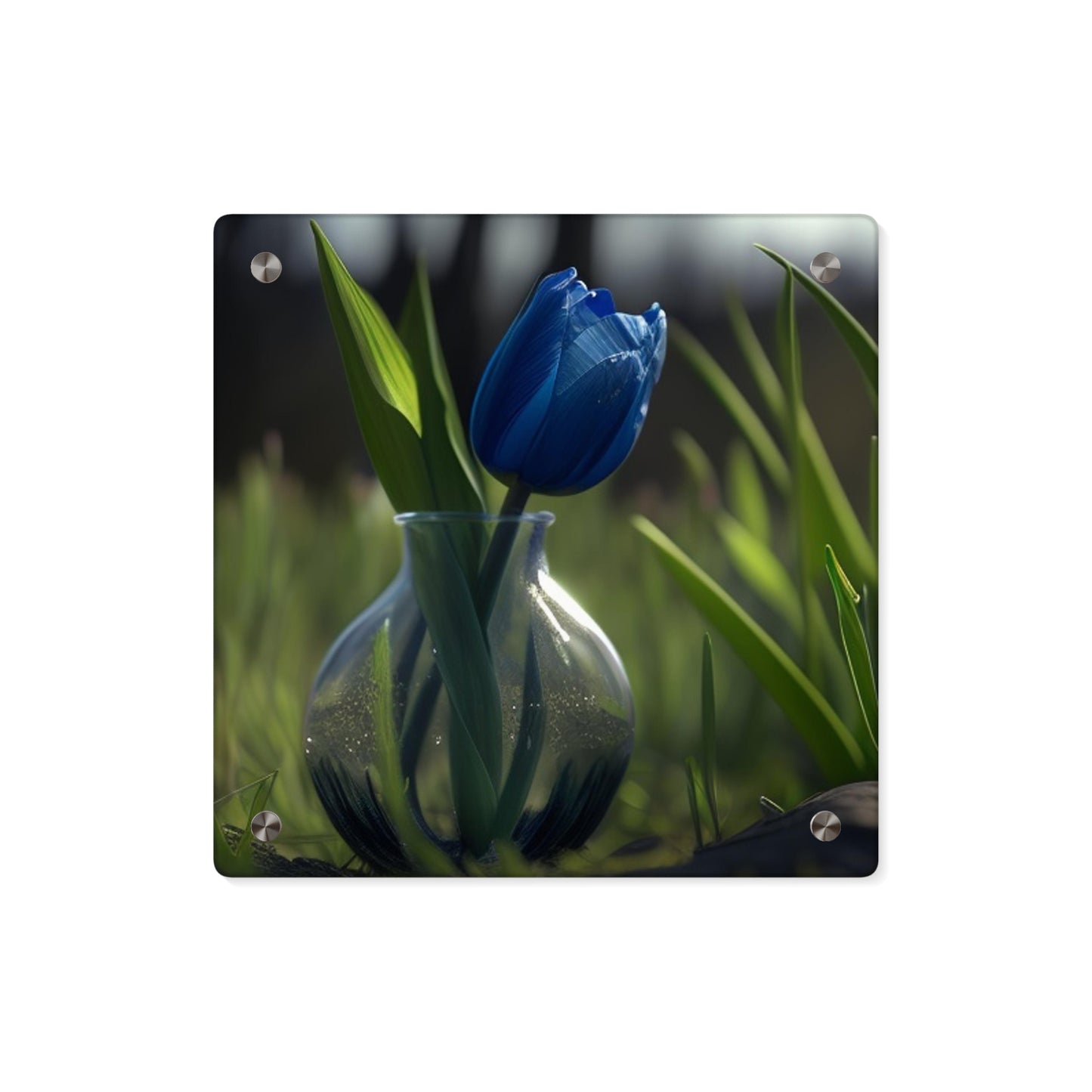 Acrylic Wall Art Panels Tulip 1