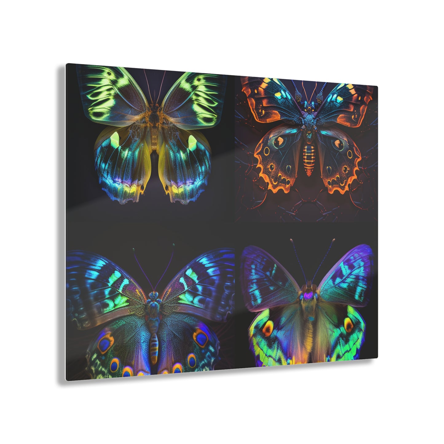 Acrylic Prints Neon Hue Butterfly 5