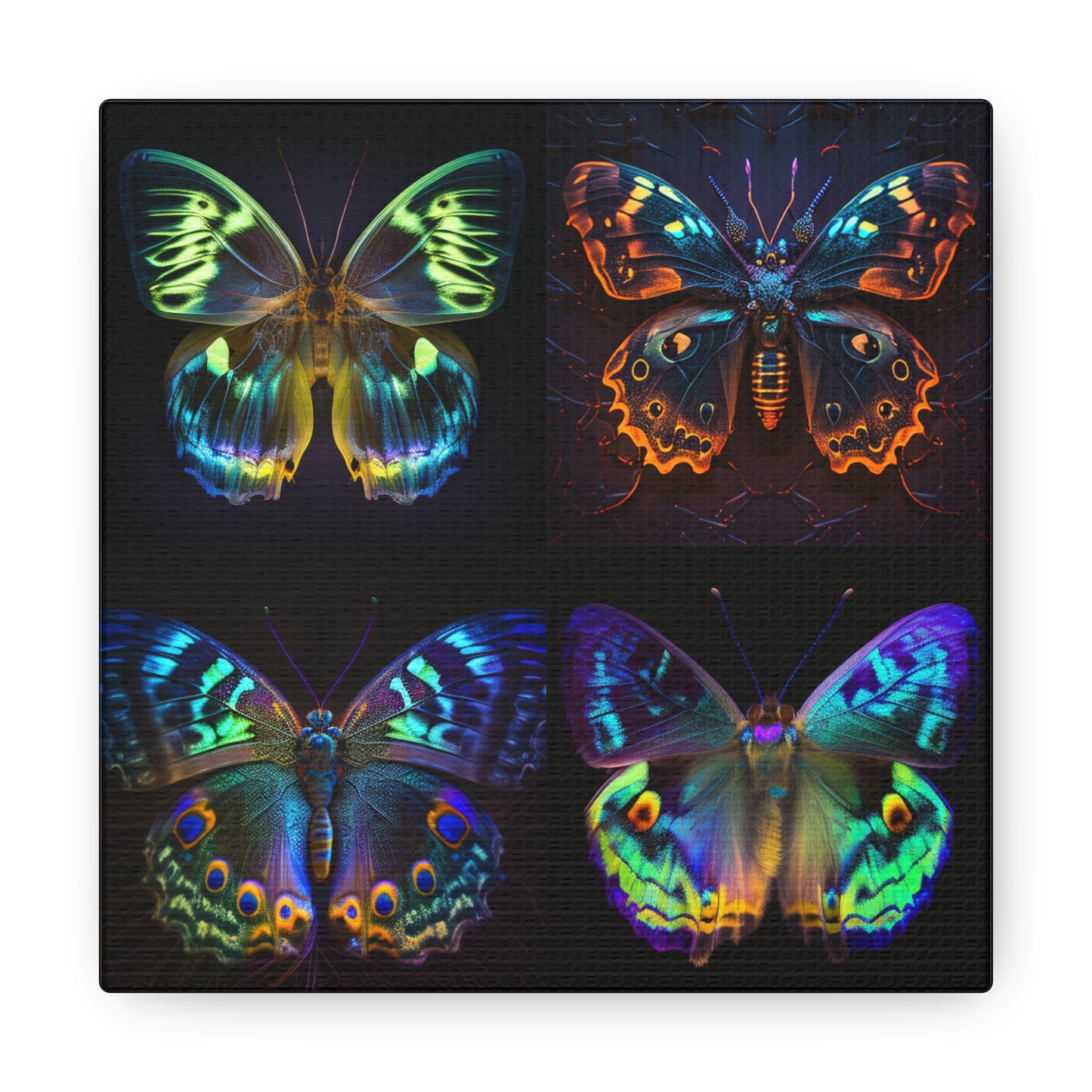 Canvas Gallery Wraps Neon Hue Butterfly 5