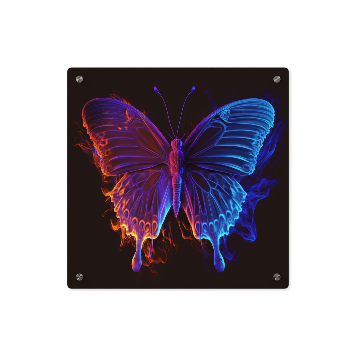 Acrylic Wall Art Panels Thermal Butterfly 1