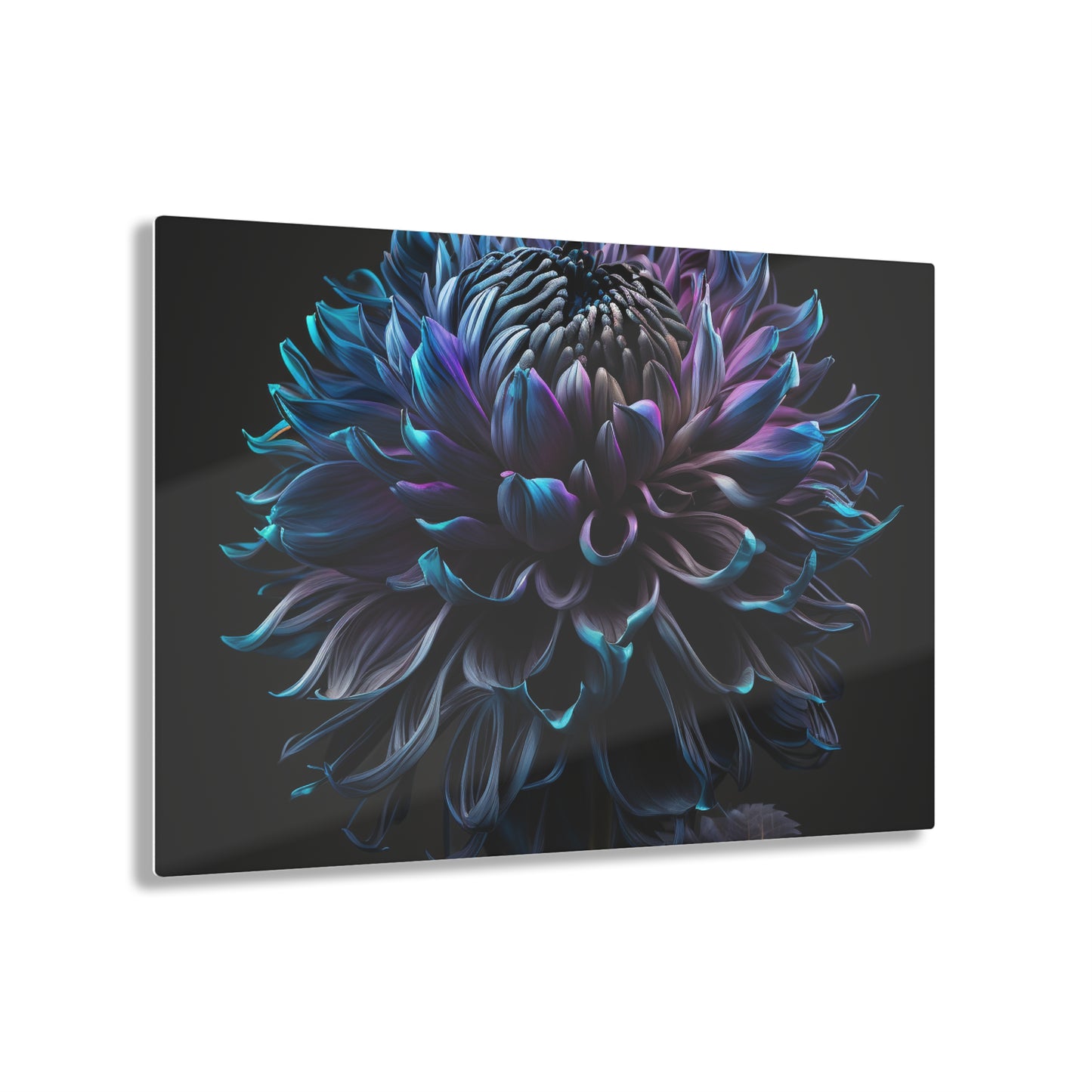 Acrylic Prints Dahlia Purple 3