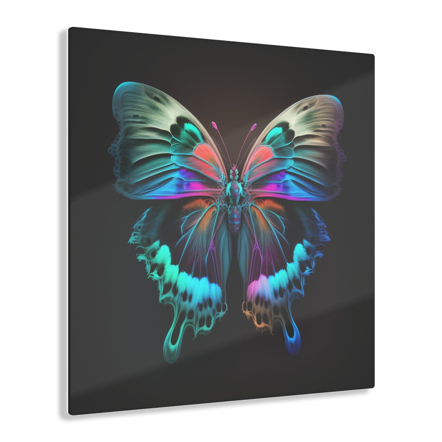 Acrylic Prints Raw Hyper Color Butterfly 2