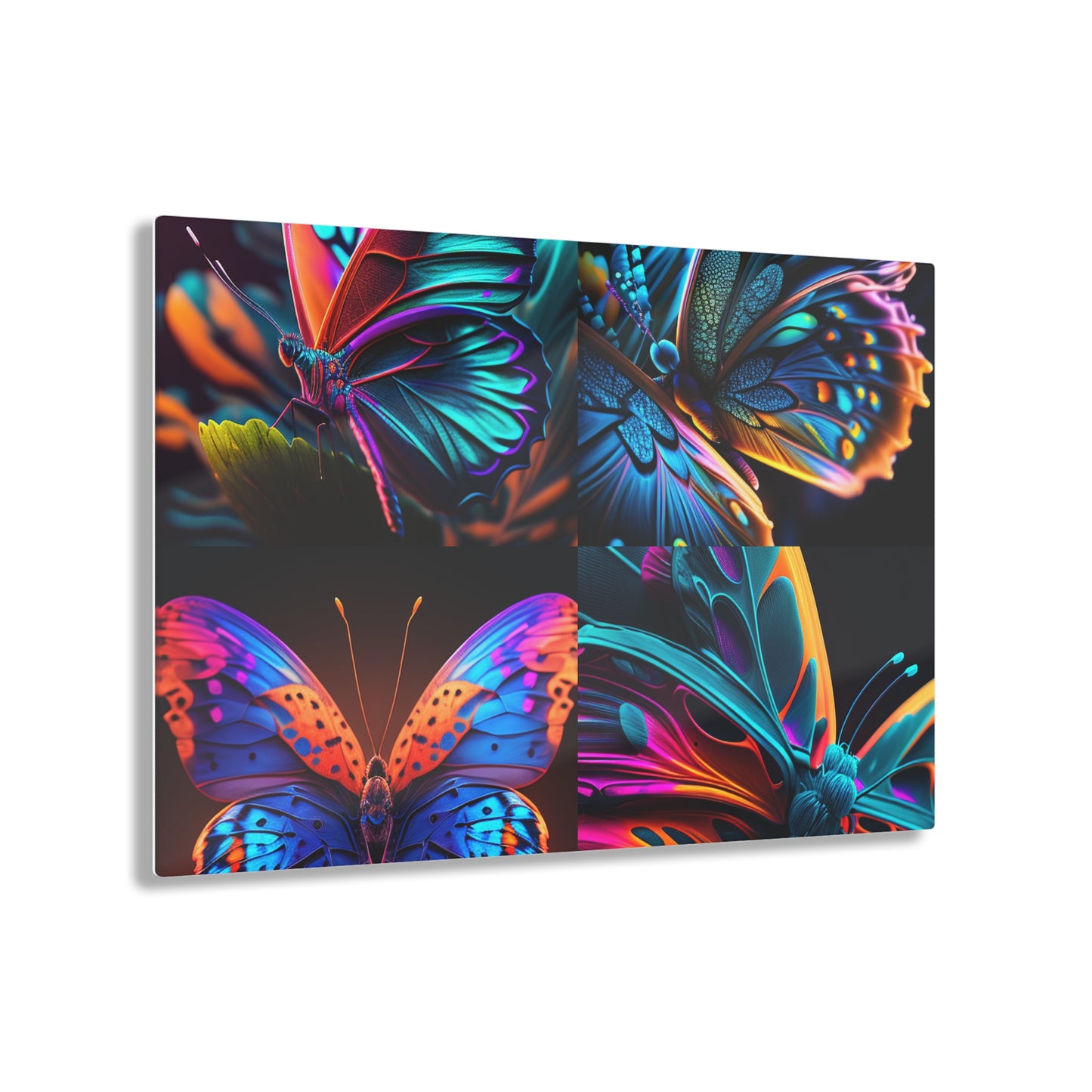 Acrylic Prints Neon Butterfly Macro 5