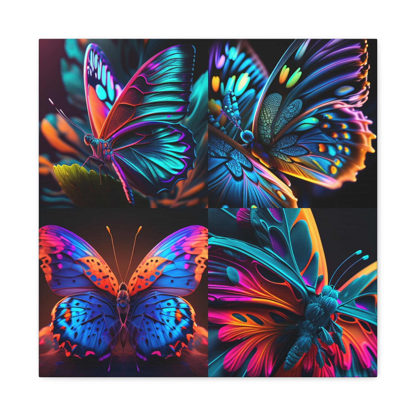 Canvas Gallery Wraps Neon Butterfly Macro 5