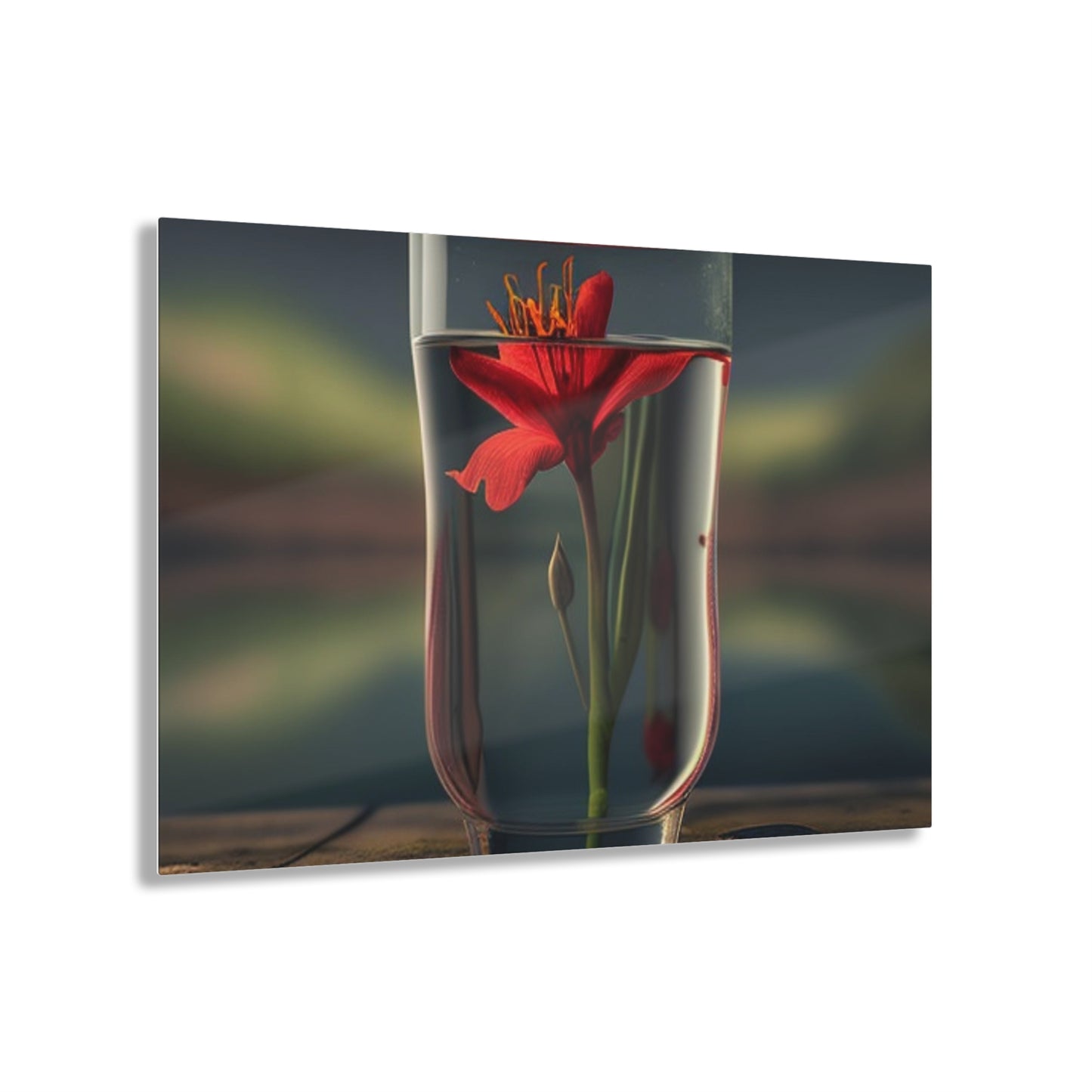 Acrylic Prints Red Lily in a Glass vase 1