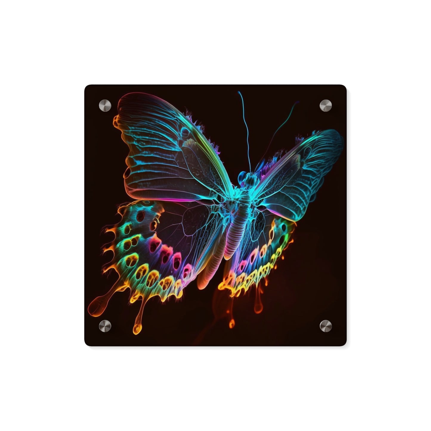 Acrylic Wall Art Panels Thermal Butterfly 2