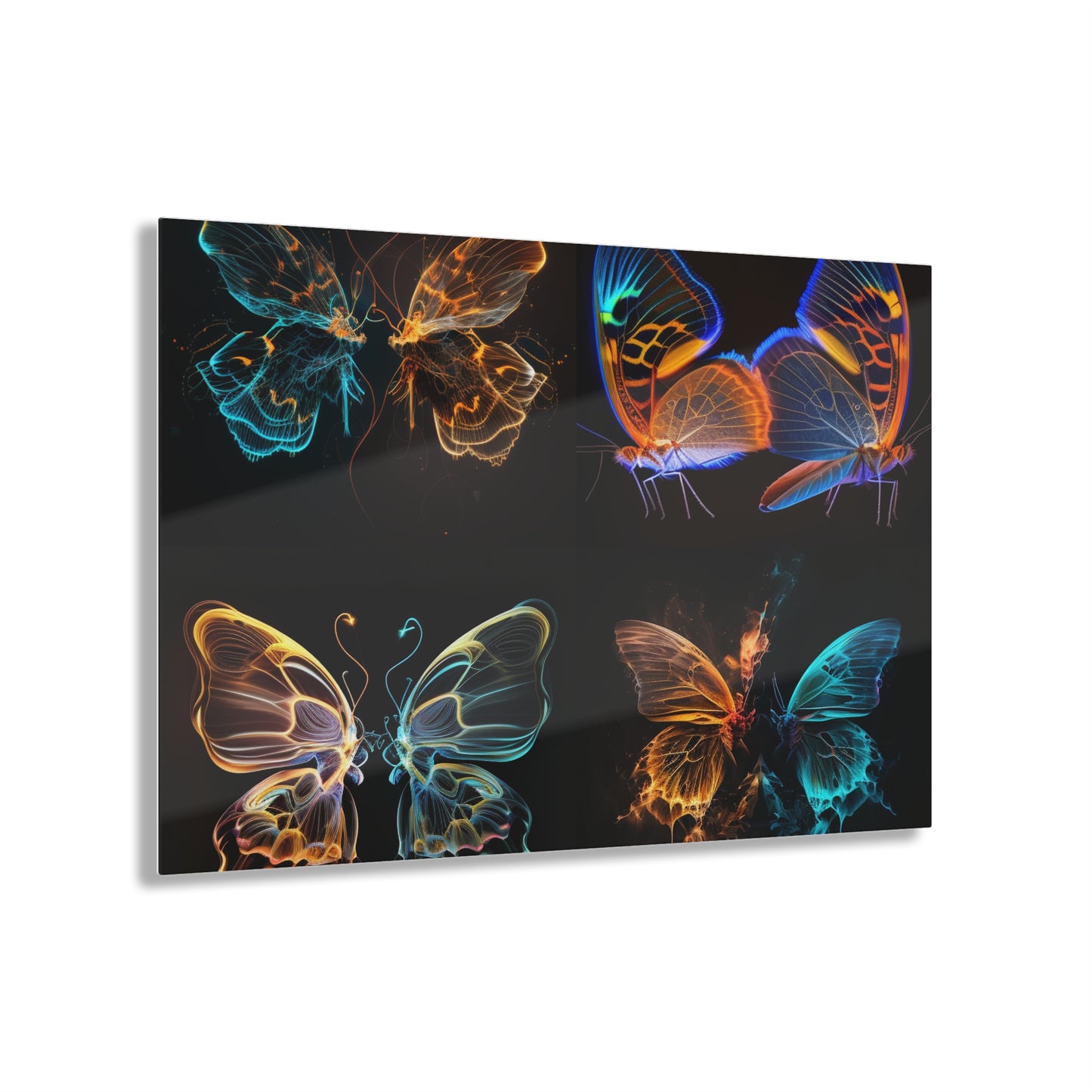 Acrylic Prints Neon Glo Butterfly 5