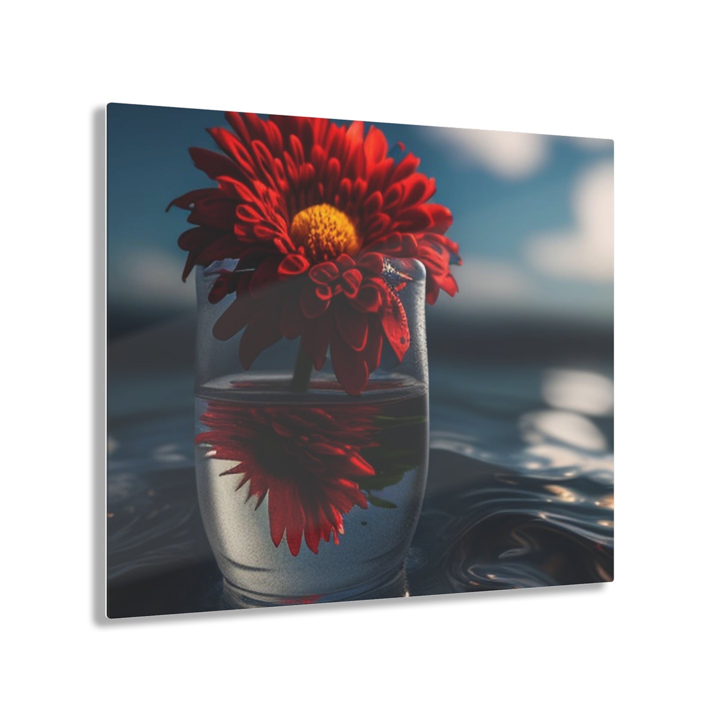 Acrylic Prints Chrysanthemum 3