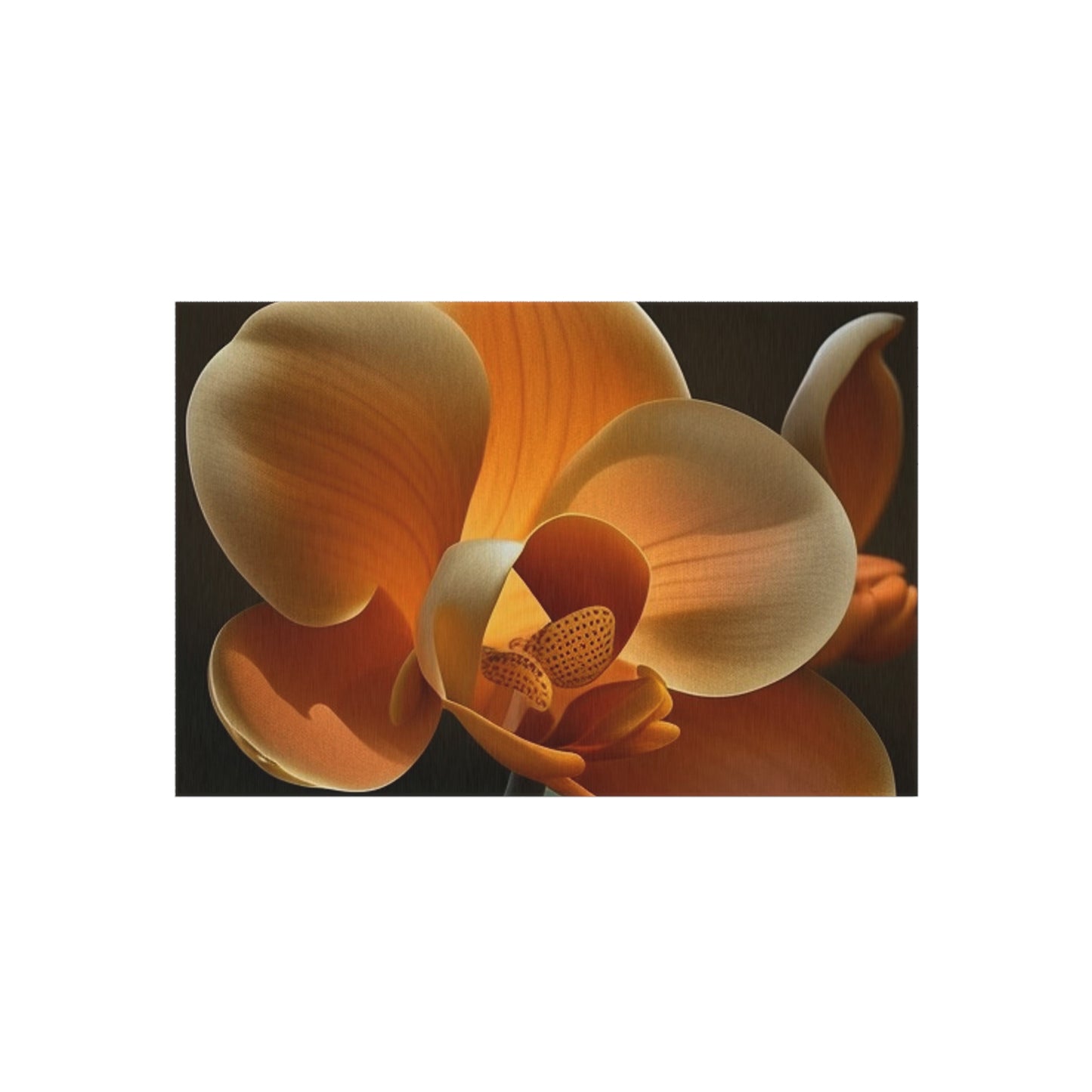 Outdoor Rug  Orange Orchid 4