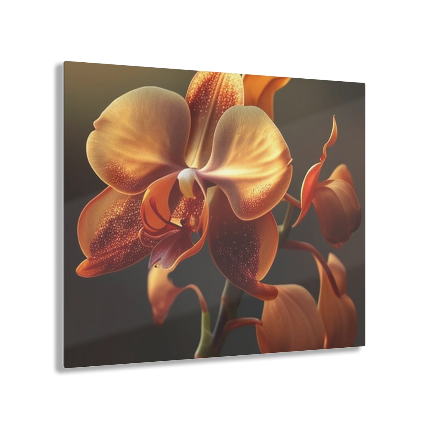 Acrylic Prints Orange Orchid 1