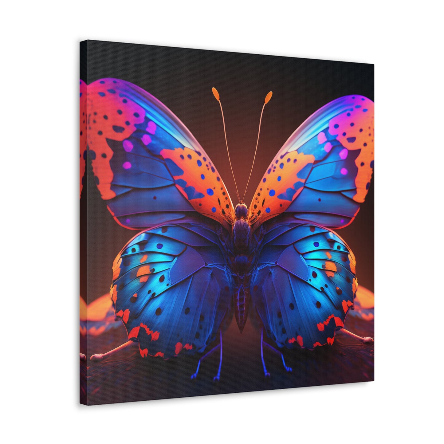 Canvas Gallery Wraps Neon Butterfly Macro 3