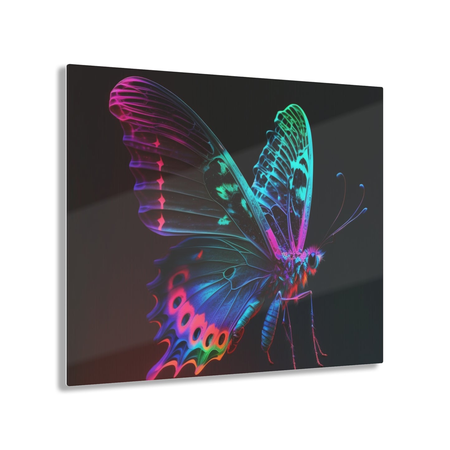 Acrylic Prints Raw Hyper Color Butterfly 1