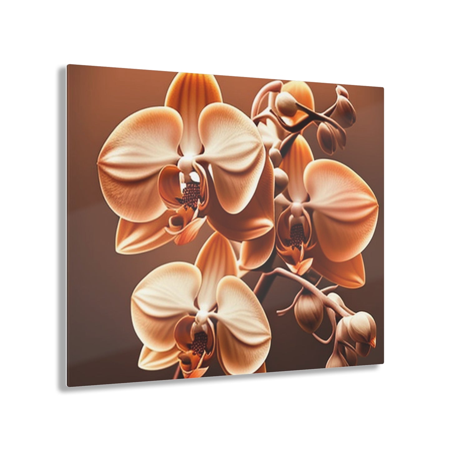 Acrylic Prints orchid pedals 3