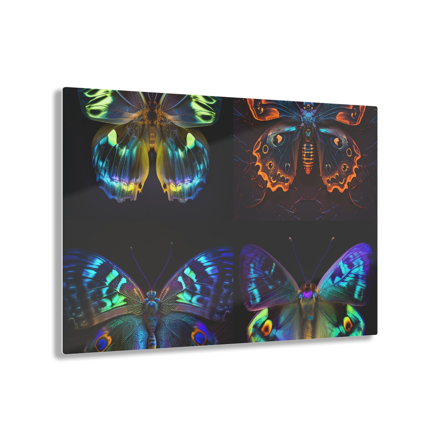 Acrylic Prints Neon Hue Butterfly 5