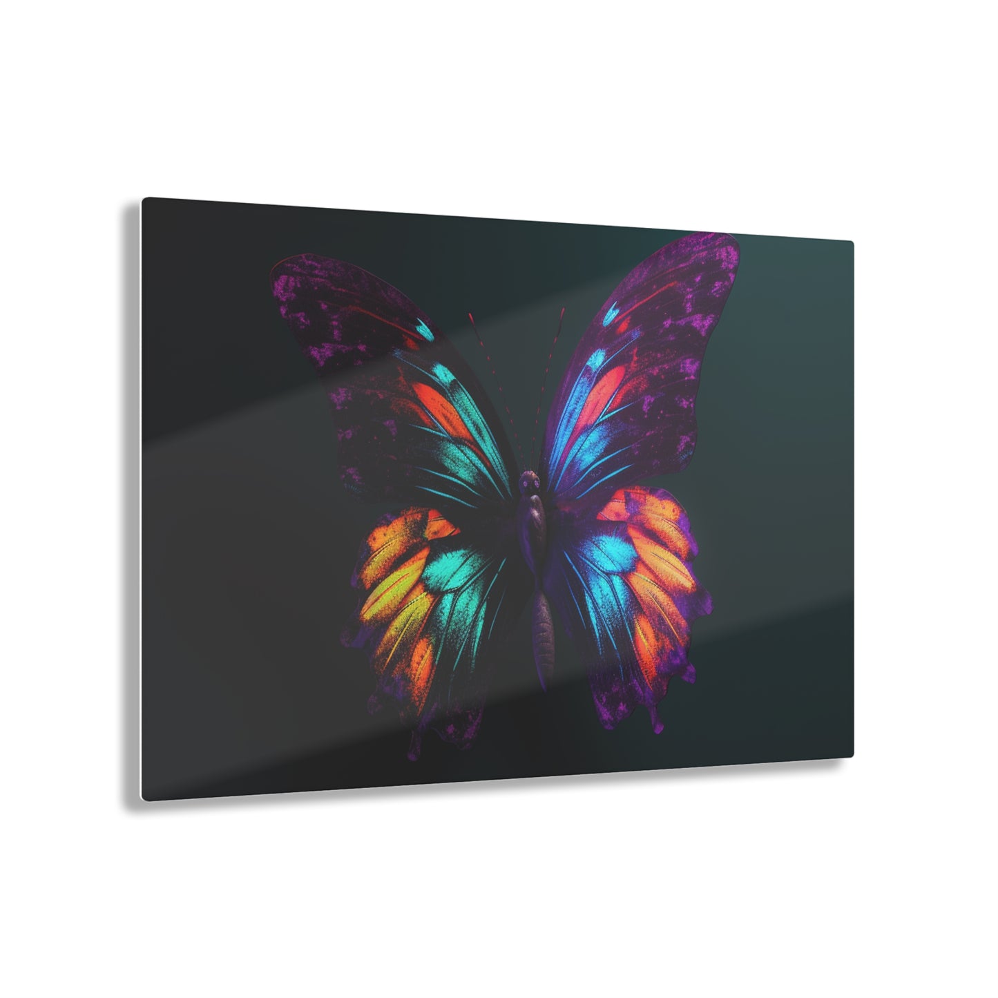 Acrylic Prints Hyper Colorful Butterfly Purple 1