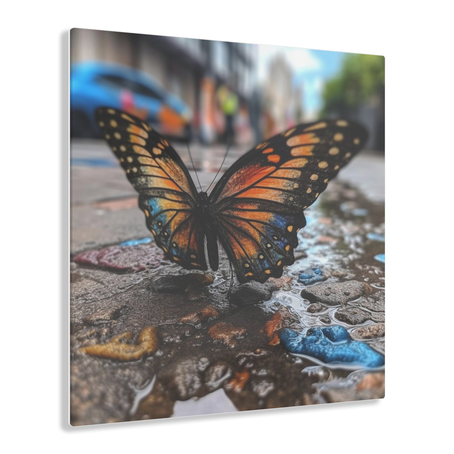 Acrylic Prints Water Butterfly Street 4