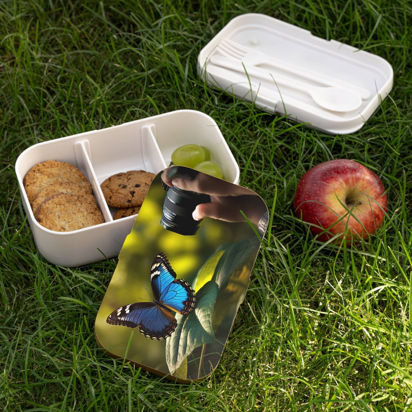 Bento Lunch Box Jungle Butterfly 3