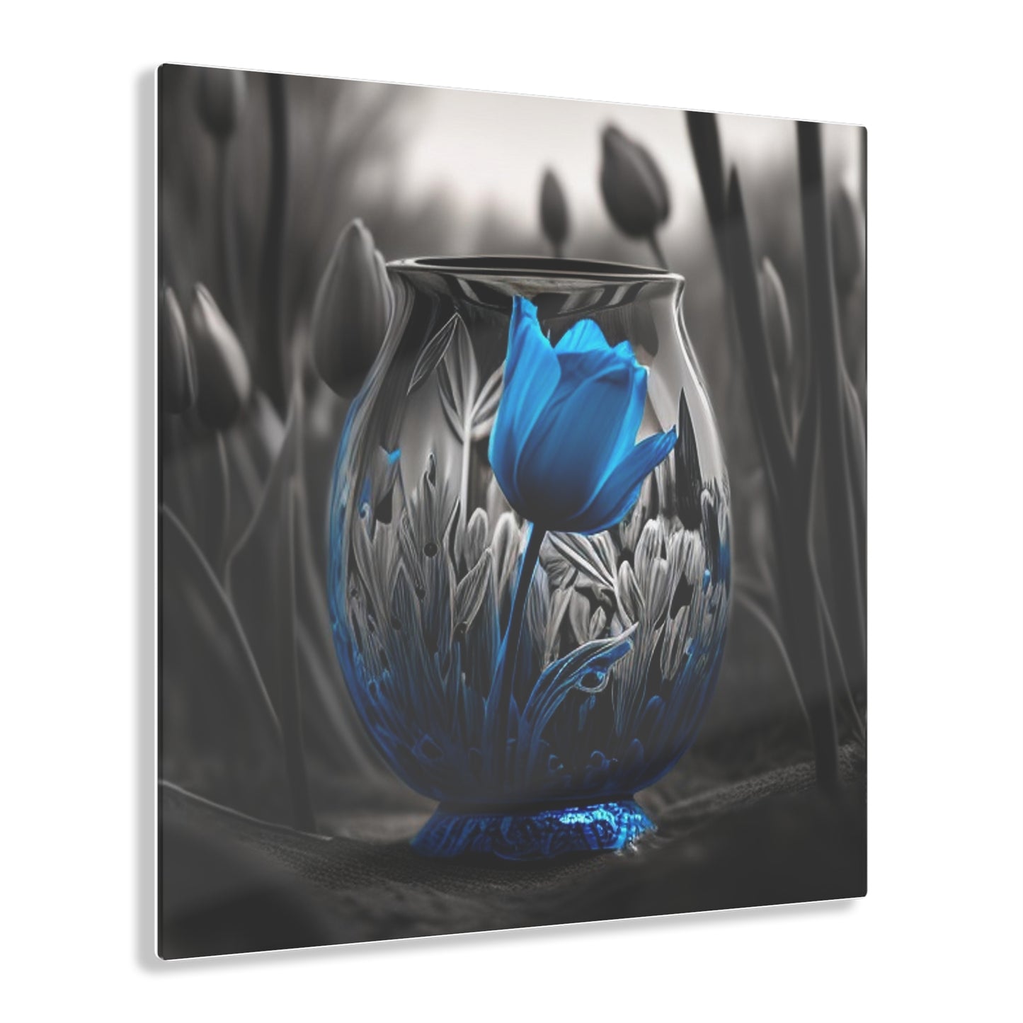 Acrylic Prints Tulip Blue 1