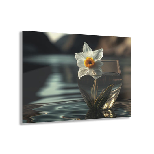 Acrylic Prints Daffodil 2