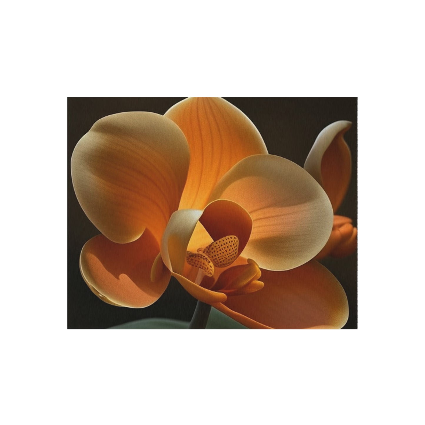 Outdoor Rug  Orange Orchid 4