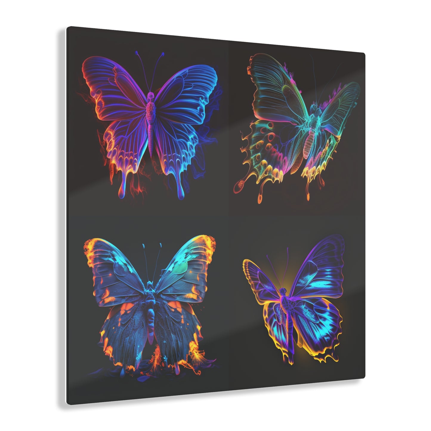 Acrylic Prints Thermal Butterfly 5