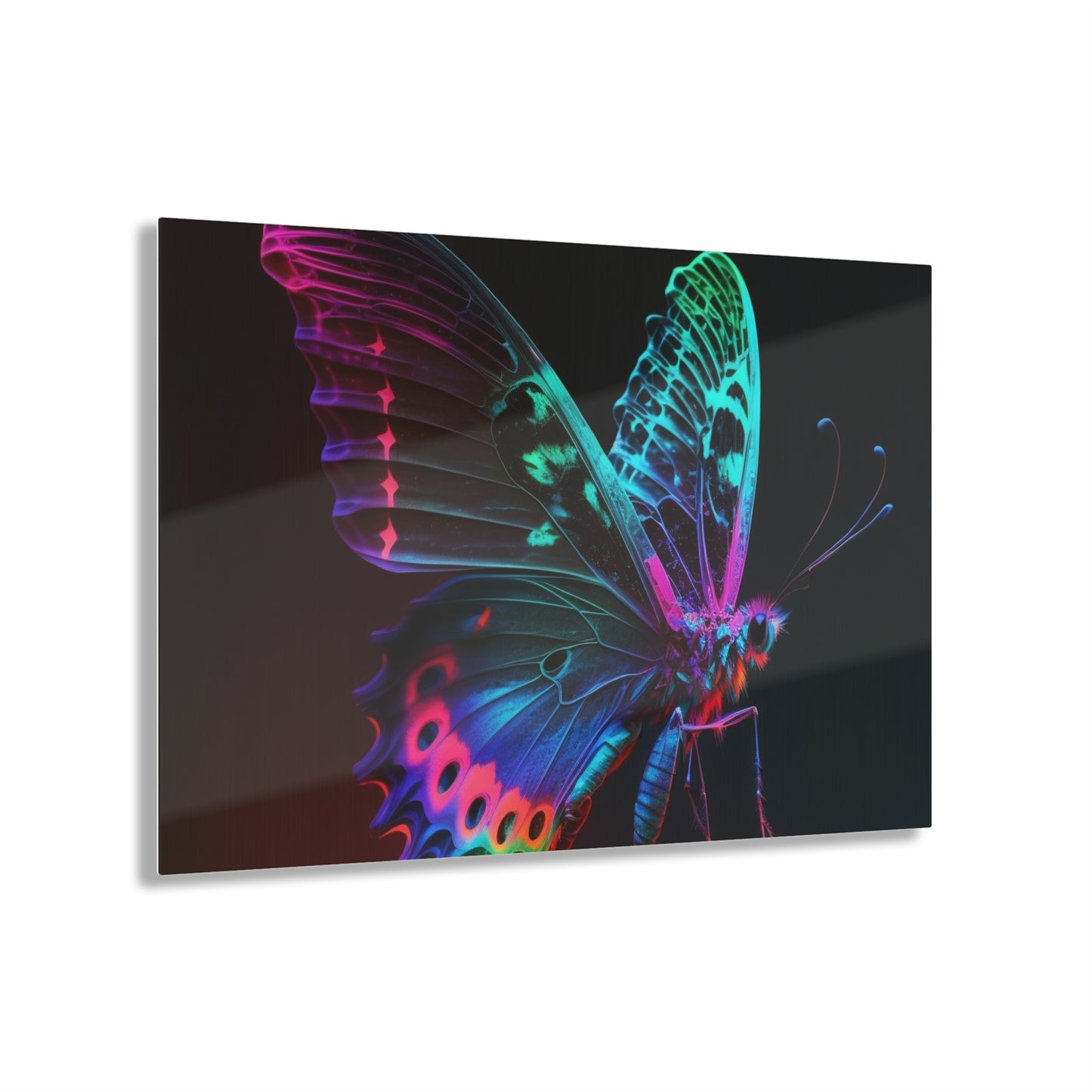 Acrylic Prints Raw Hyper Color Butterfly 1