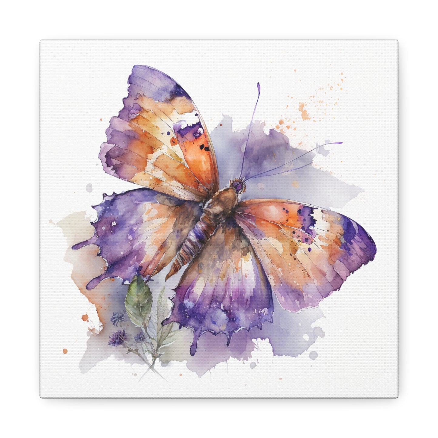 Canvas Gallery Wraps MerlinRose Watercolor Butterfly 1