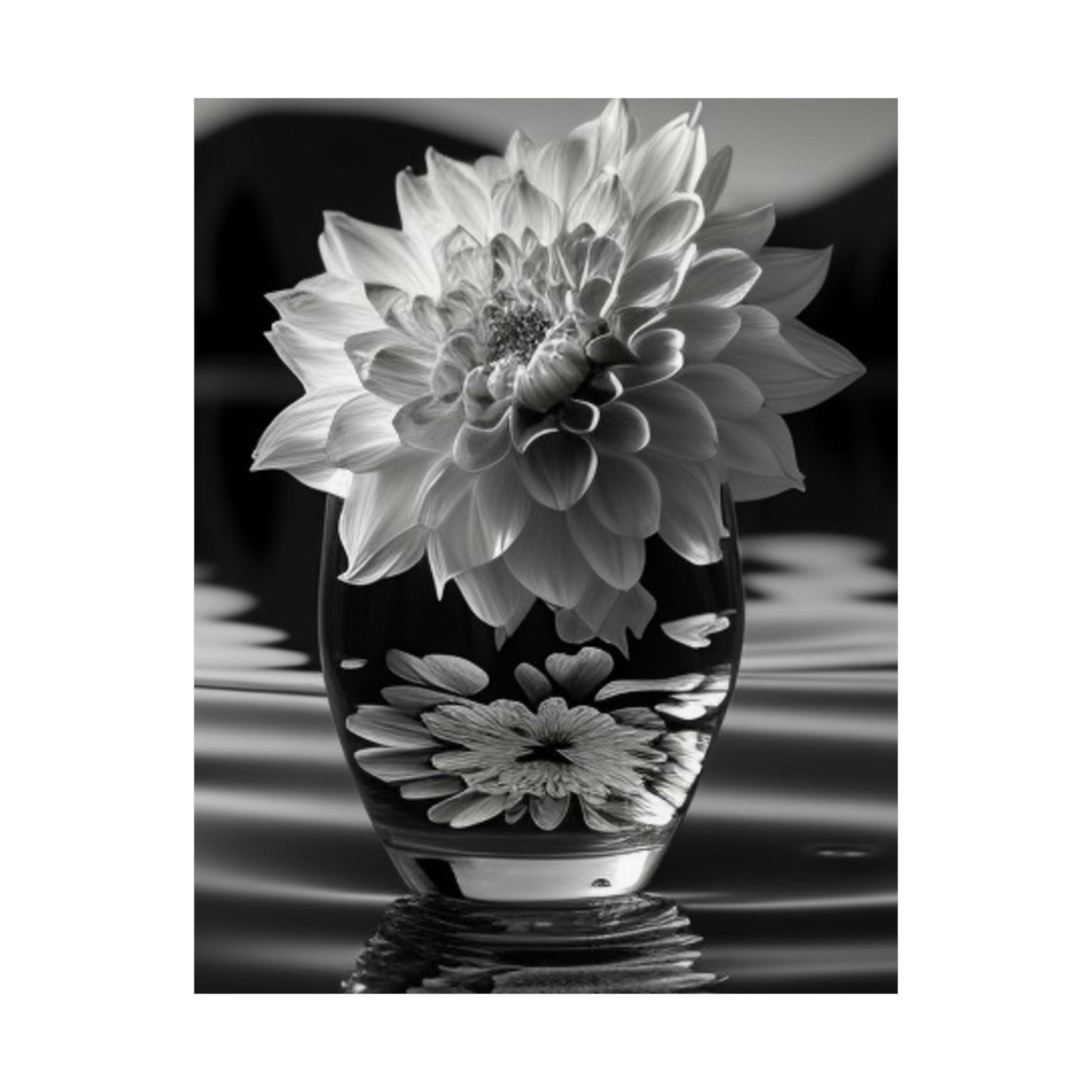 Premium Matte Vertical Posters White Dahlia 4