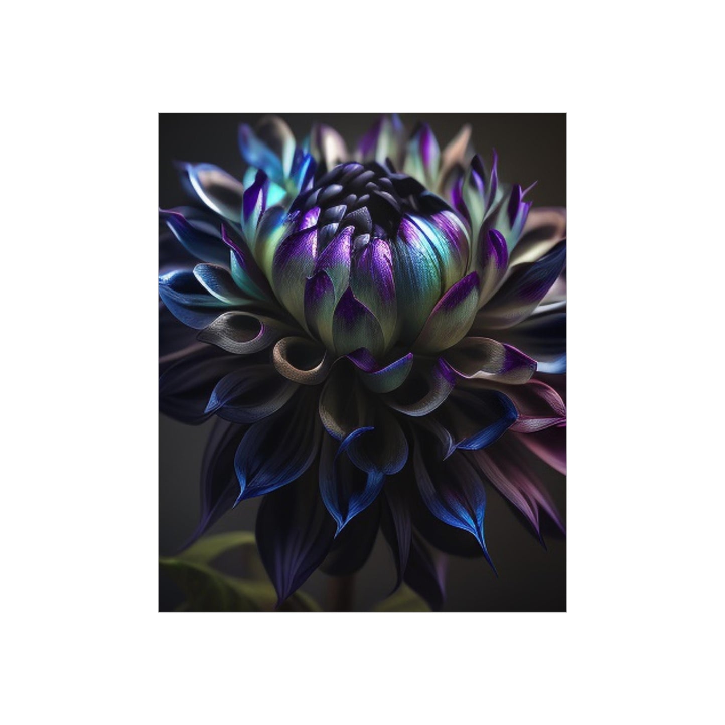 Premium Matte Vertical Posters Dahlia Purple 4