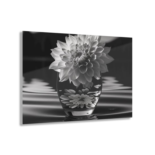 Acrylic Prints White Dahlia 4