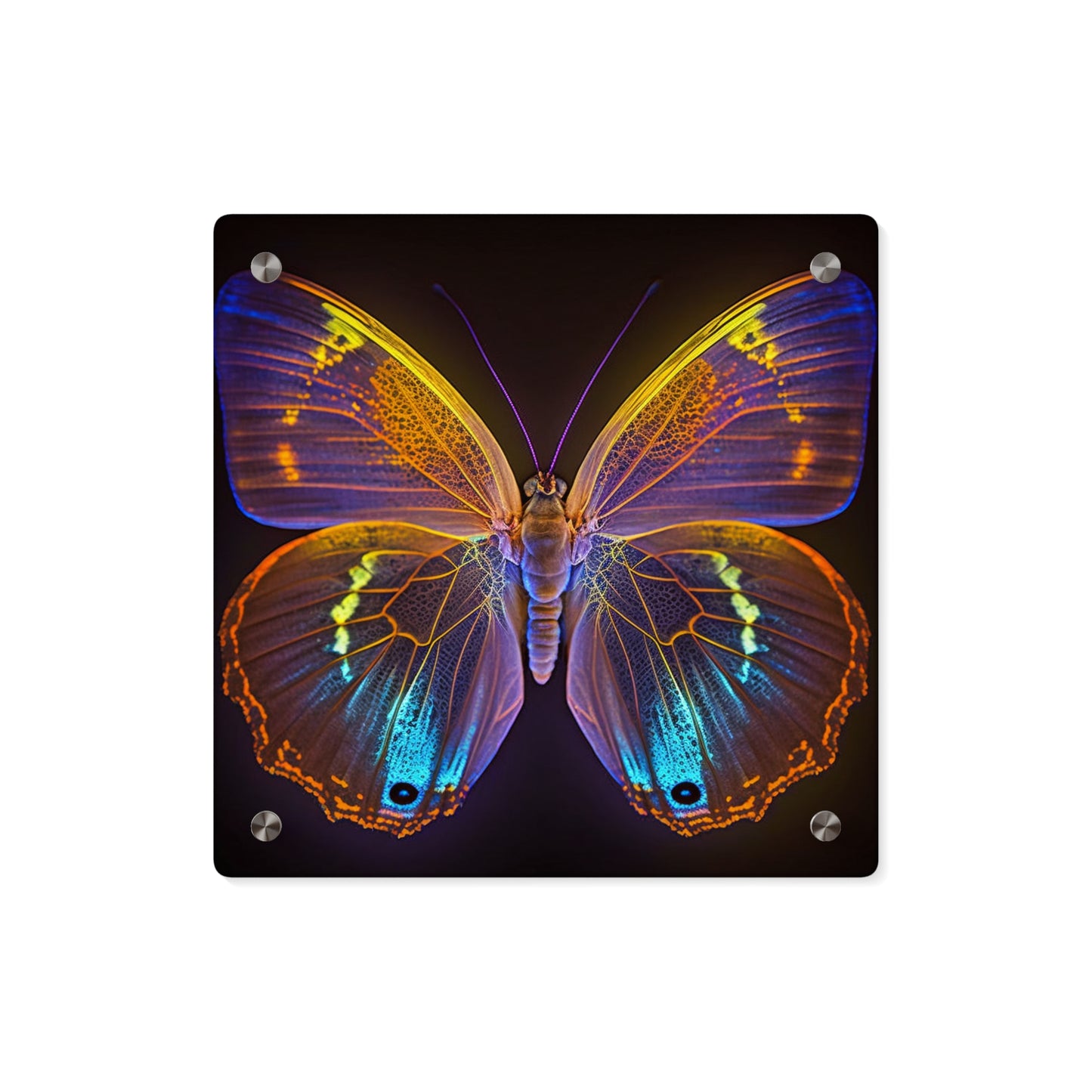 Acrylic Wall Art Panels Neon Butterfly Flair 2