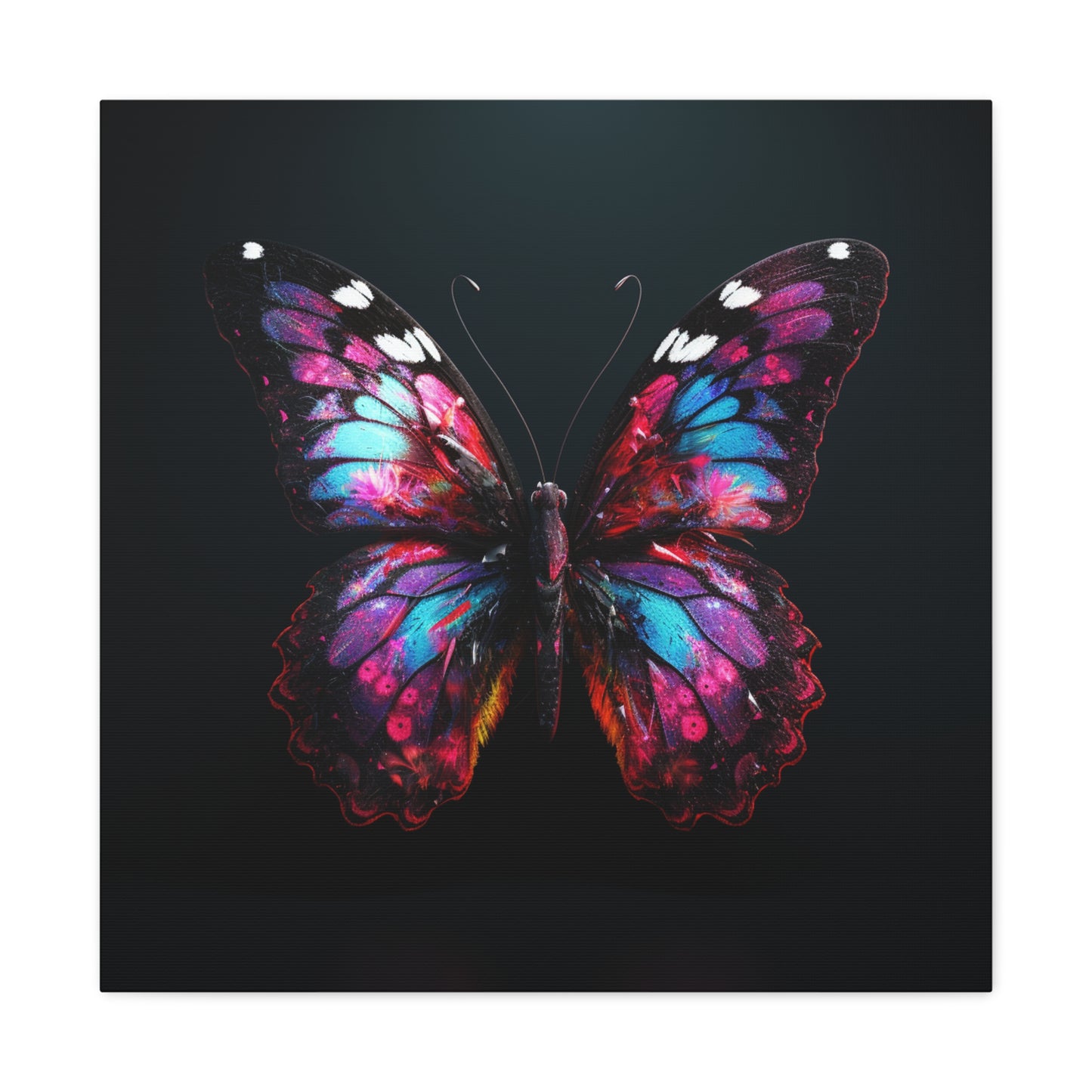 Canvas Gallery Wraps Hyper Butterfly Real