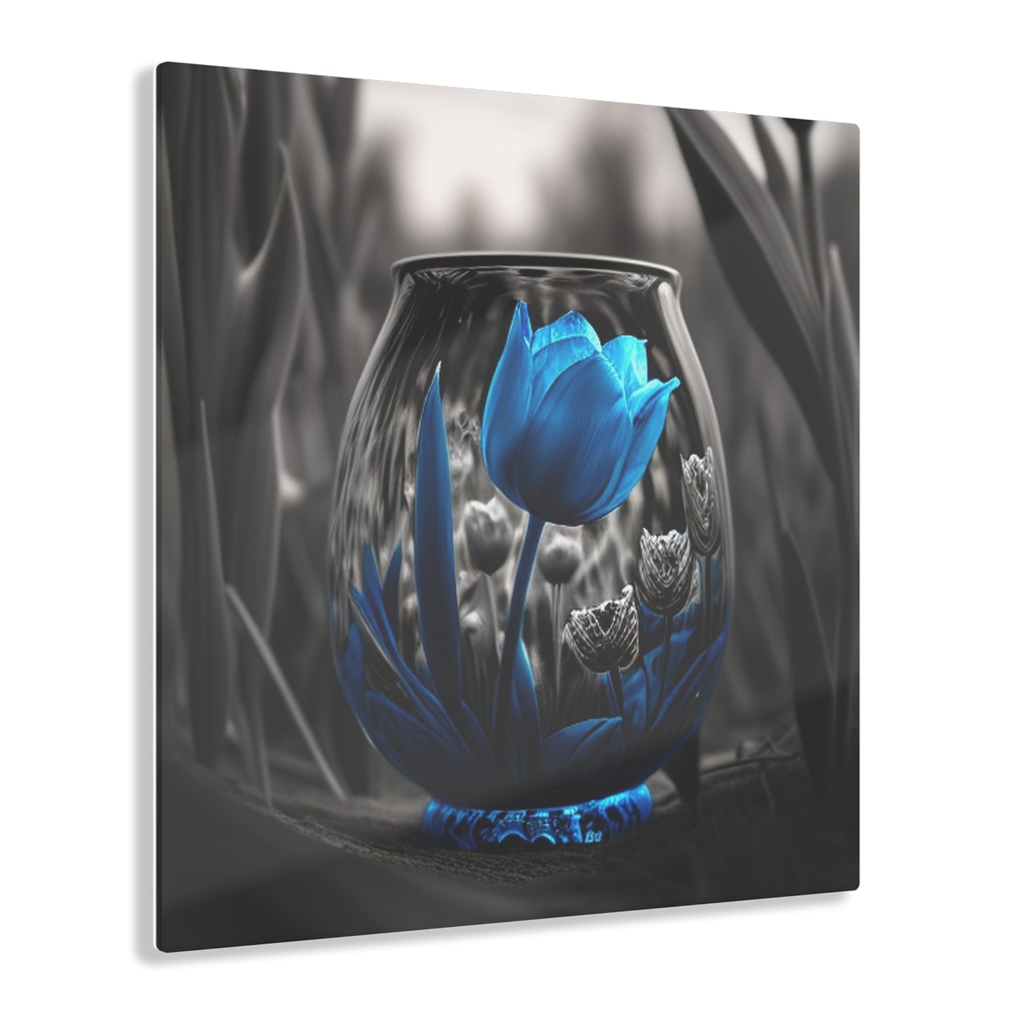 Acrylic Prints Tulip Blue 4