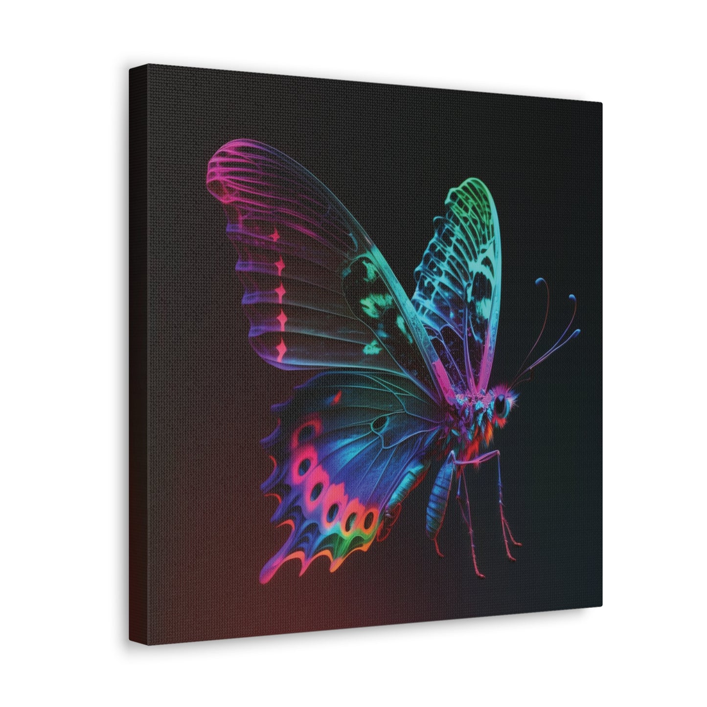 Canvas Gallery Wraps Raw Hyper Color Butterfly 1