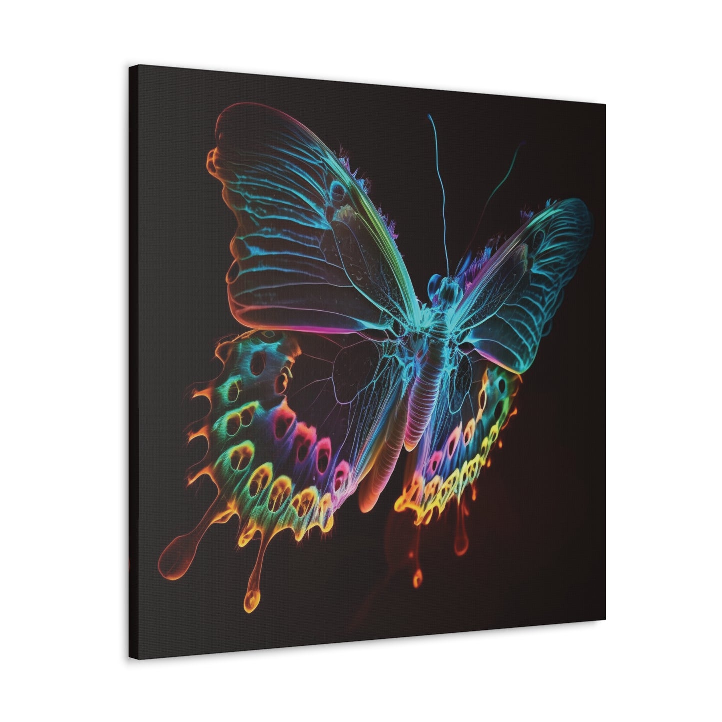 Canvas Gallery Wraps Thermal Butterfly 2