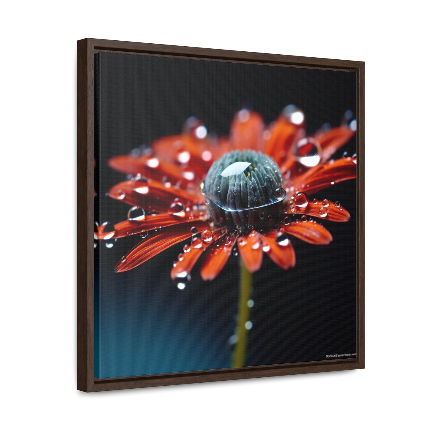 Gallery Canvas Wraps, Square Frame Water drop Macro Flower 1