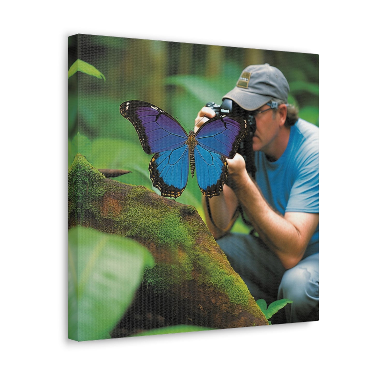 Canvas Gallery Wraps Jungle Butterfly 4