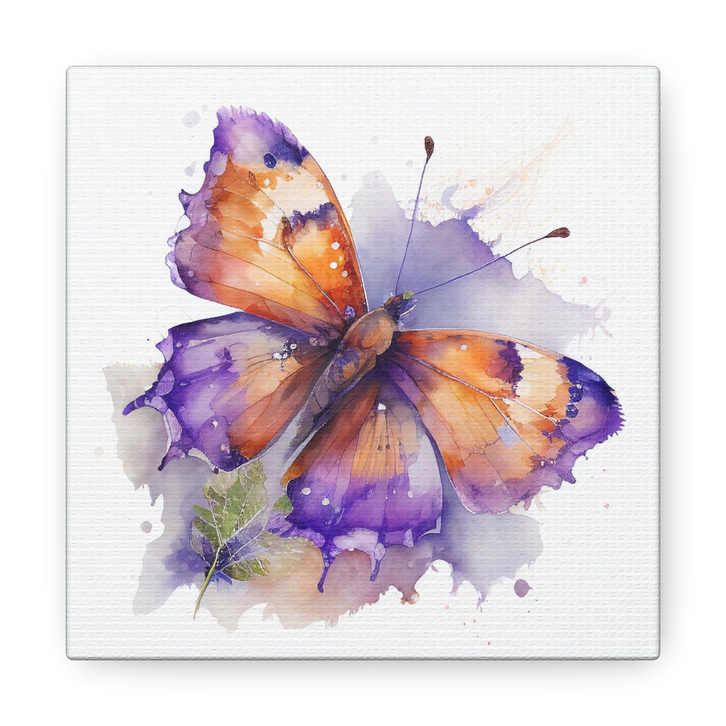 Canvas Gallery Wraps MerlinRose Watercolor Butterfly 2