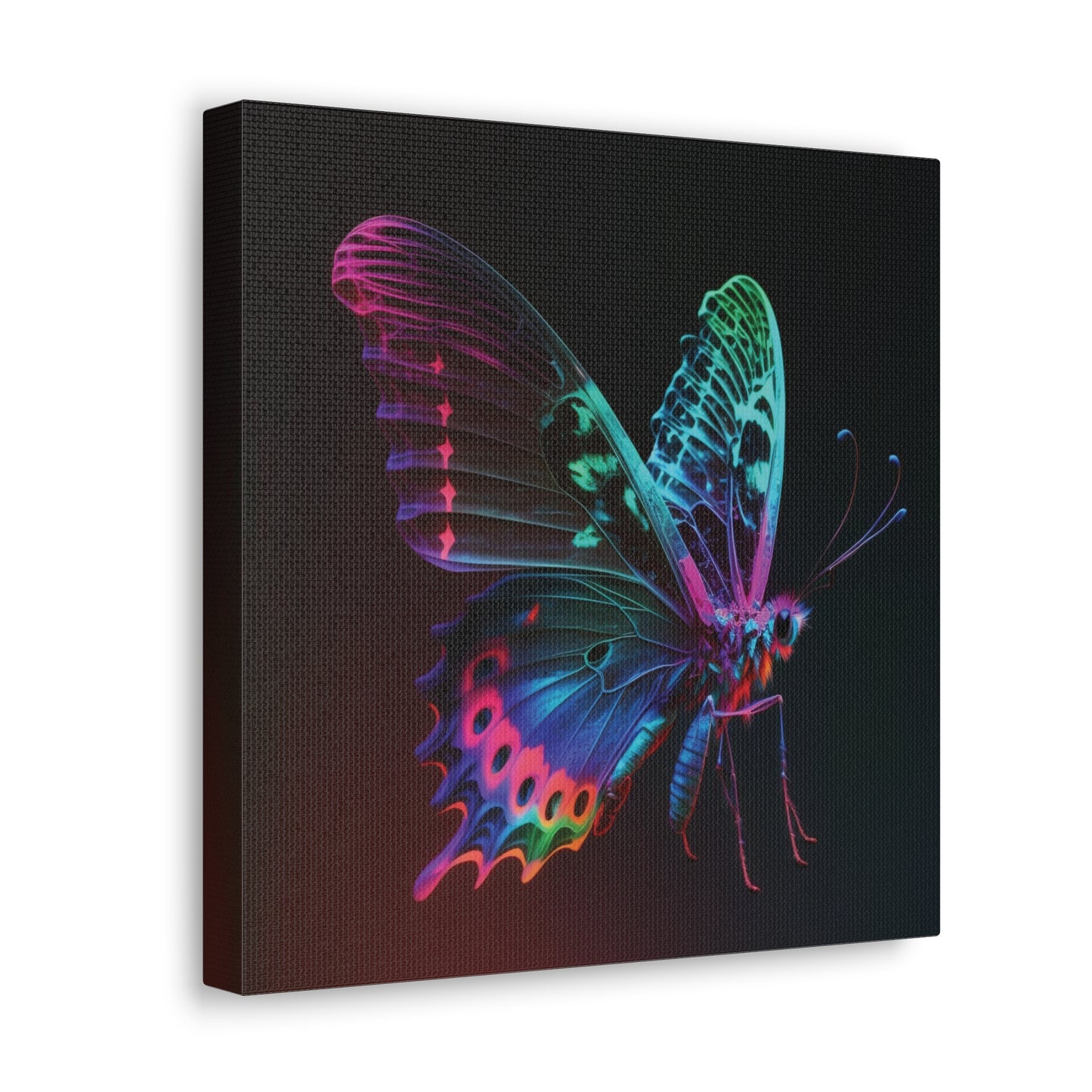 Canvas Gallery Wraps Raw Hyper Color Butterfly 1