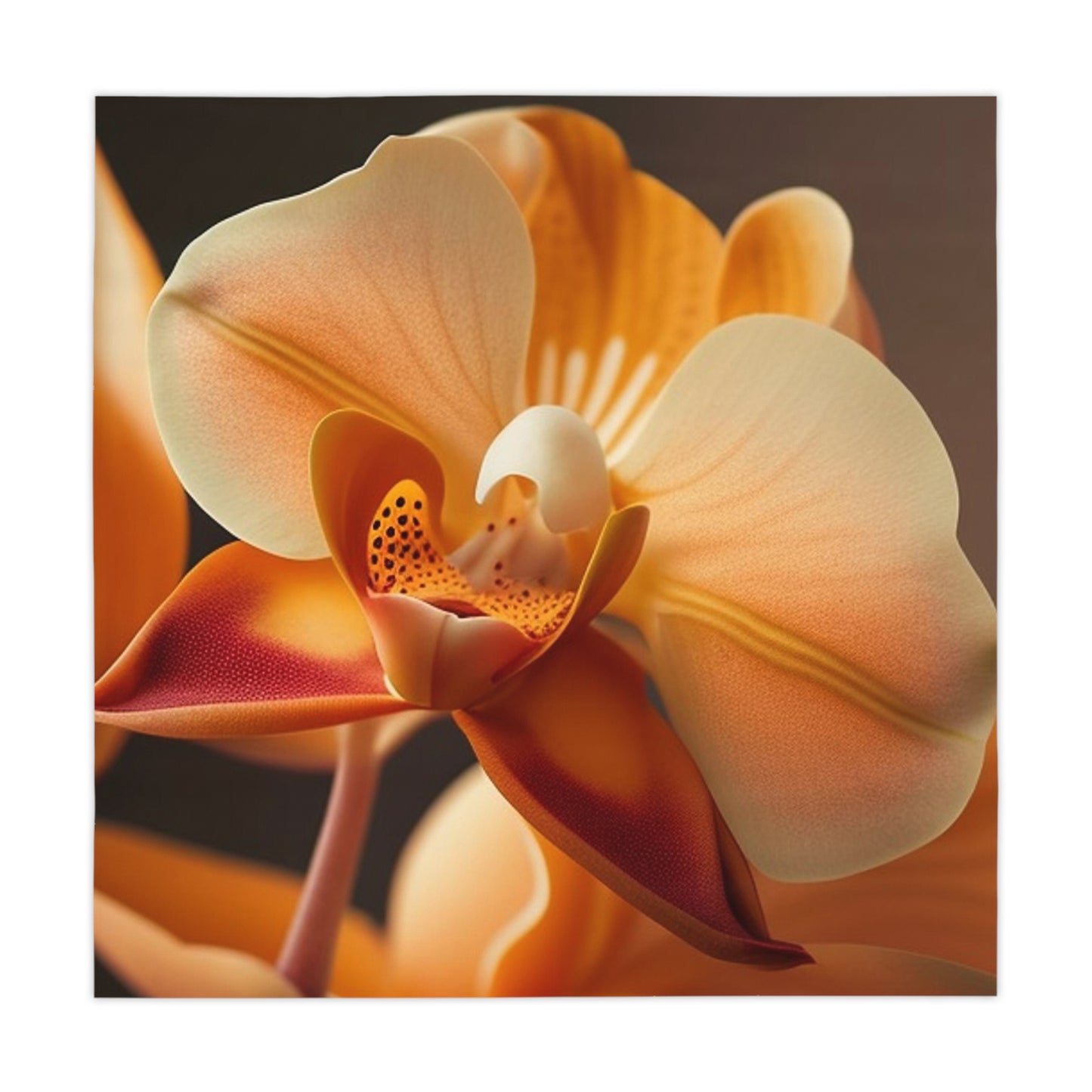 Tablecloth Orange Orchid 3