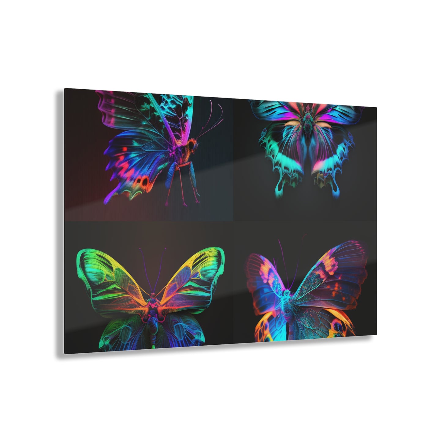 Acrylic Prints Raw Hyper Color Butterfly 5