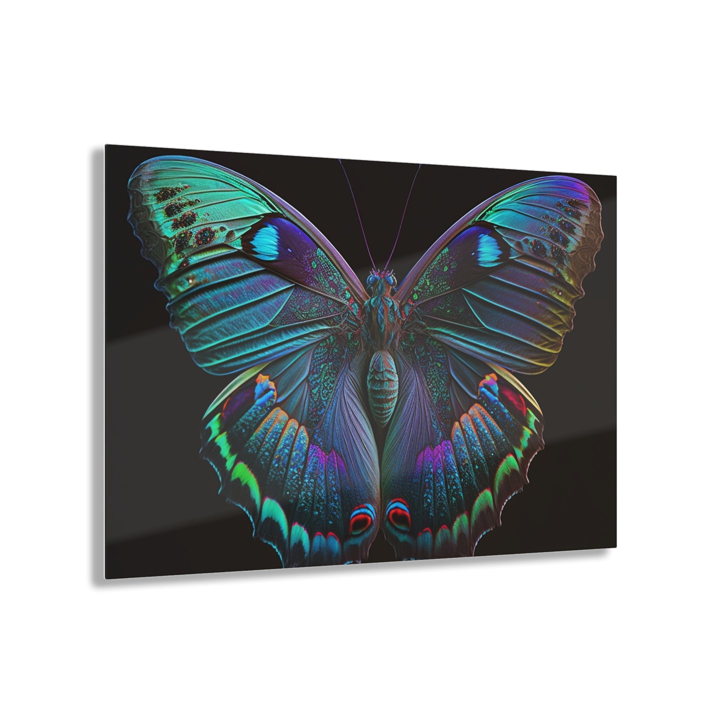 Acrylic Prints Hue Neon Butterfly 4