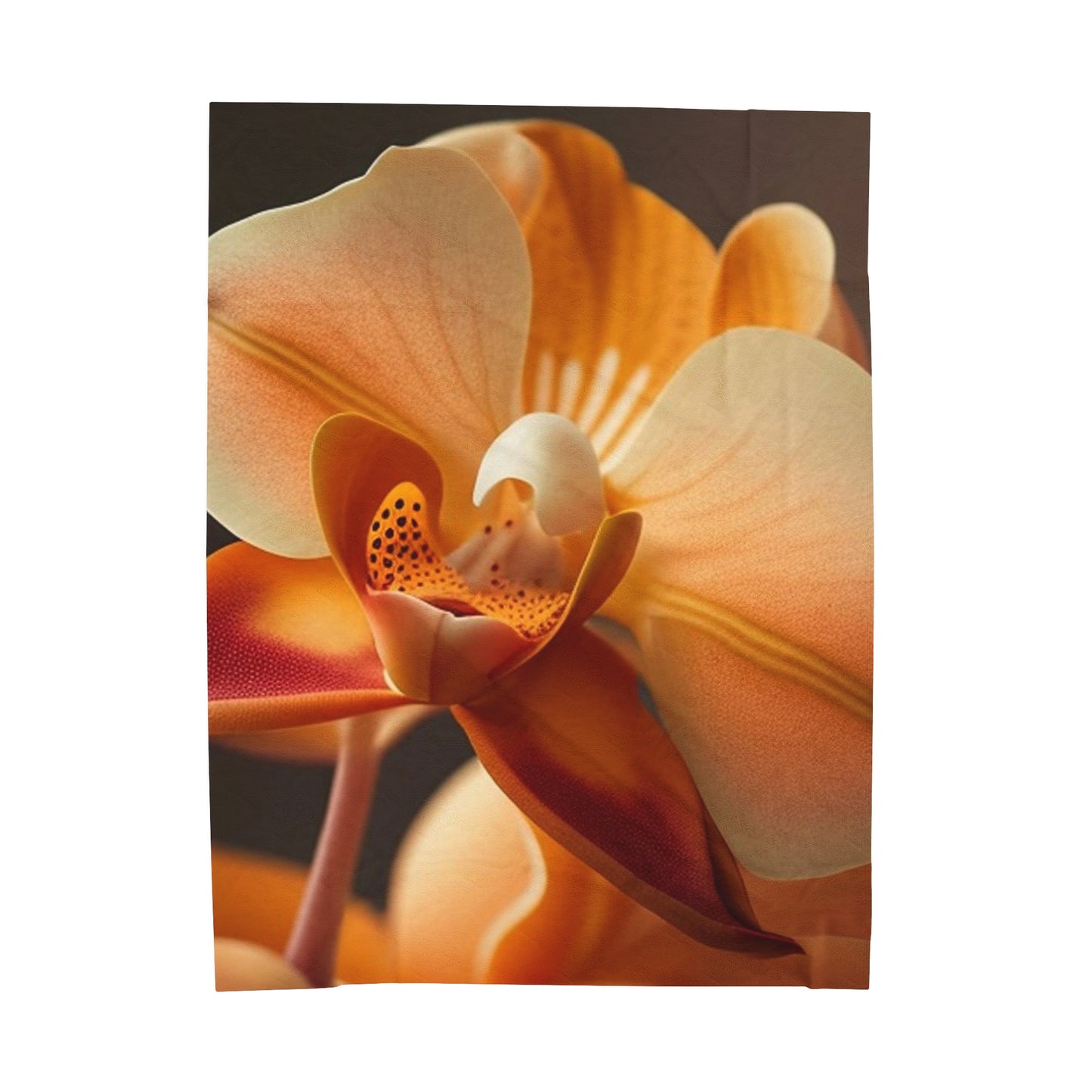 Velveteen Plush Blanket Orange Orchid 3