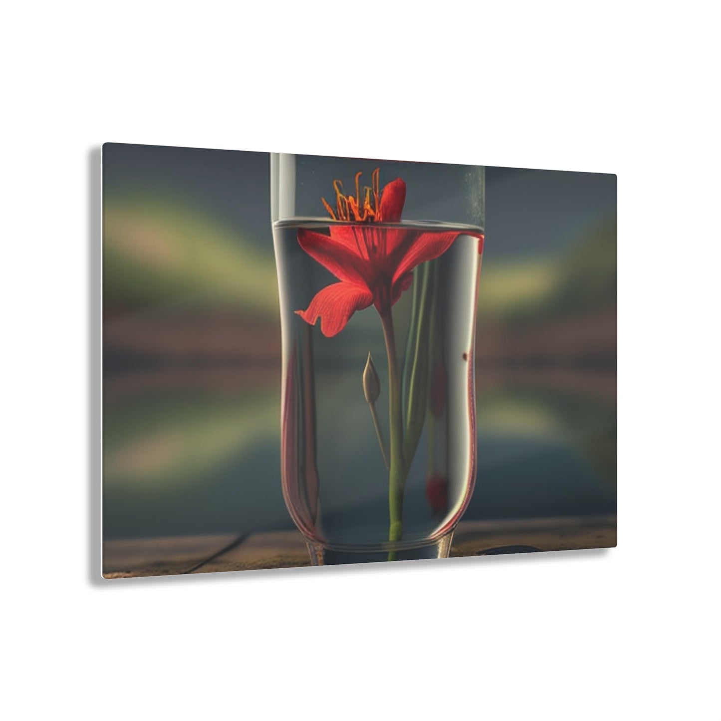 Acrylic Prints Red Lily in a Glass vase 1